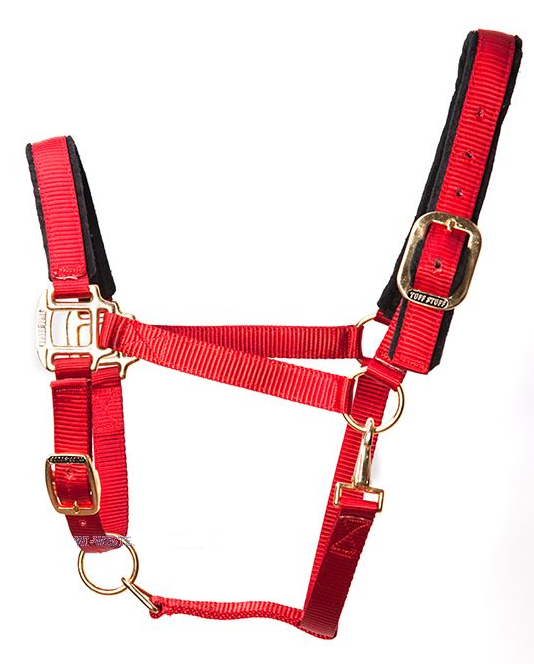 WESTERN IMPORTS® Tuff Stuff Halter, purpurrot, Jährling