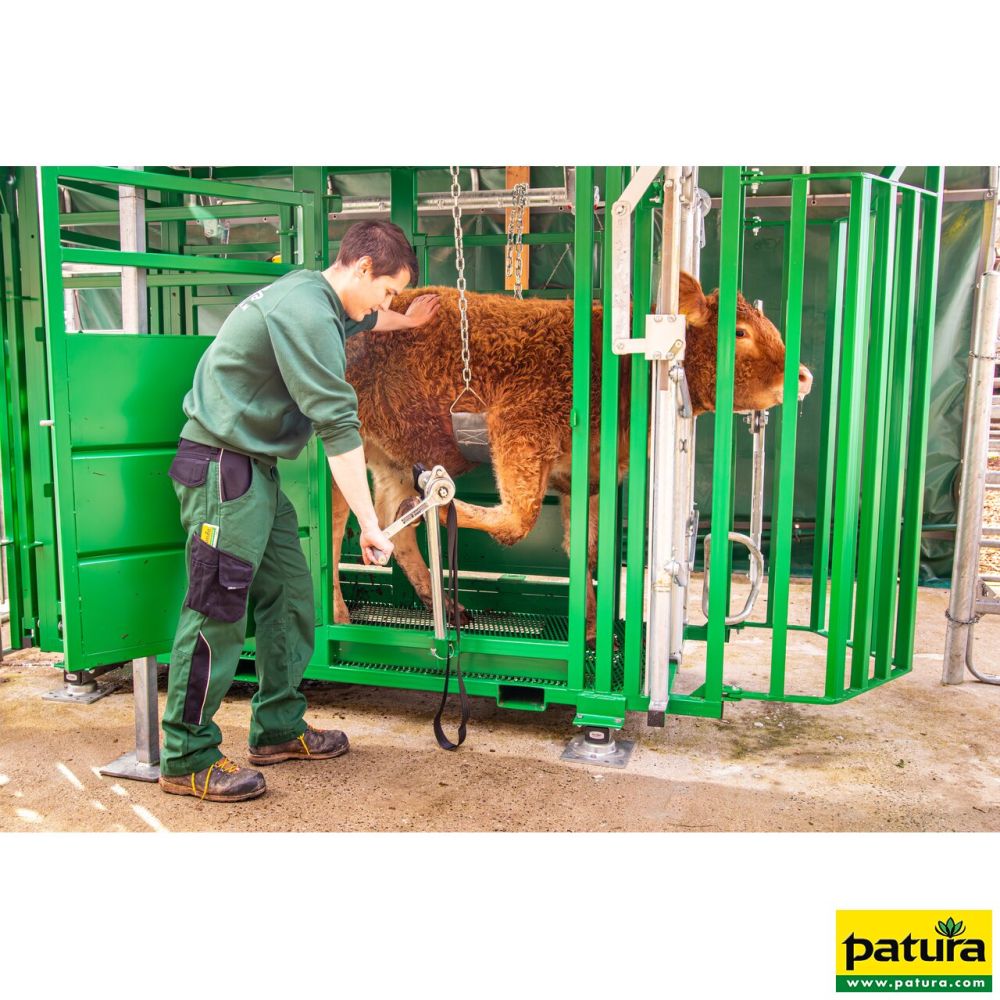 PATURA Behandlungsstand A 6000 