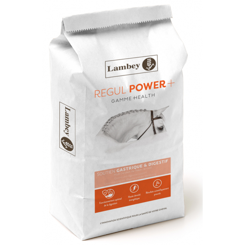 LAMBEY REGUL POWER+