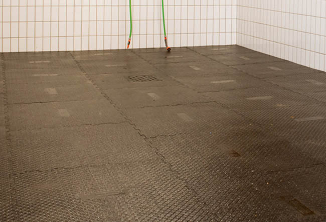 BELMONDO® Paddockmatte