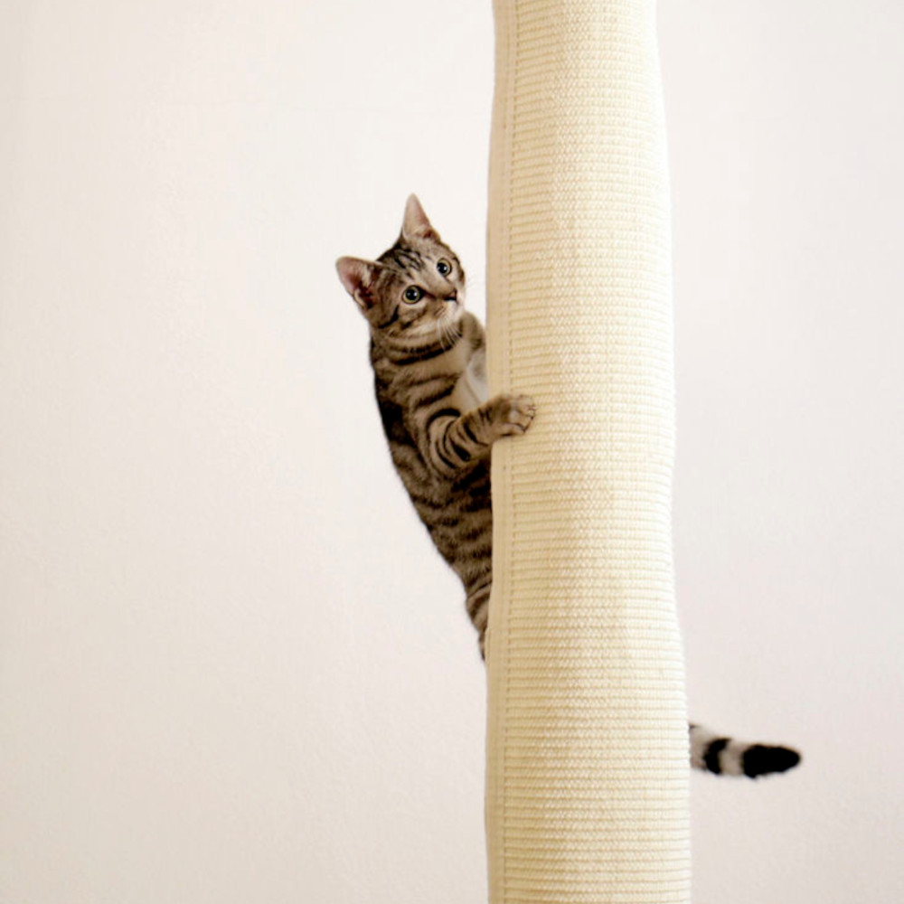 Klettersack Climber