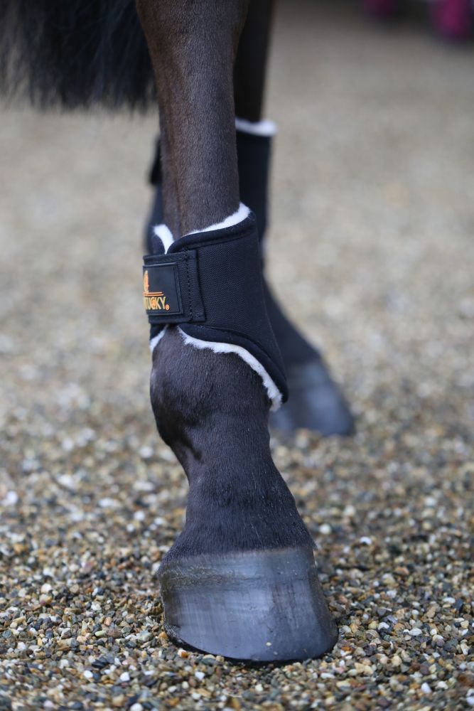 KENTUCKY® HORSEWEAR Streichkappe Solimbra, schwarz