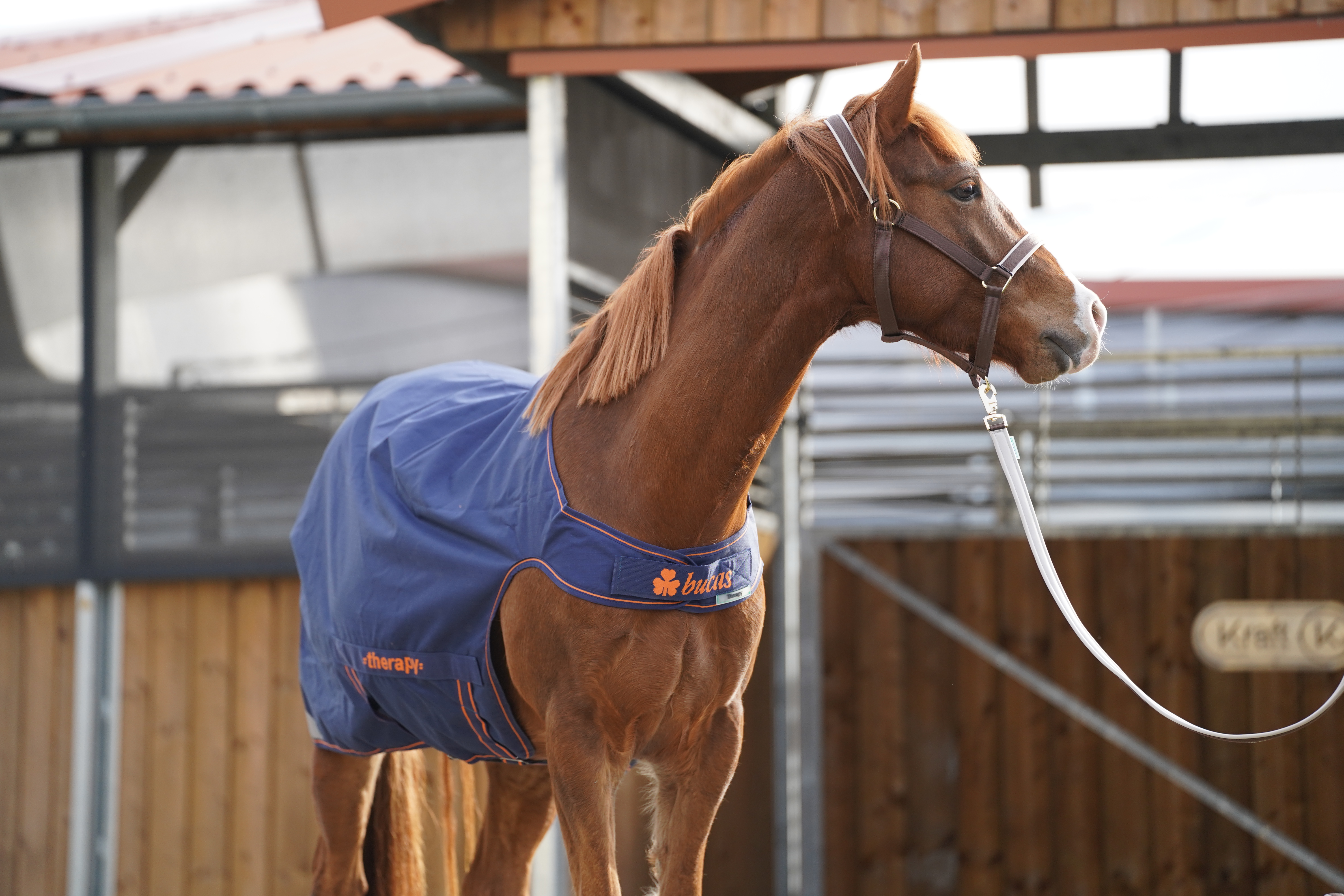 BUCAS Therapy Walker, navy/orange