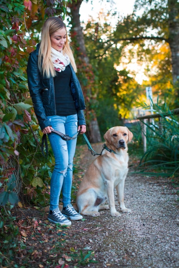 Eine Frau führt ihren Labrador mit der gemusterten Kerbl Führleine Shiny Night auf einem Weg im Herbst.