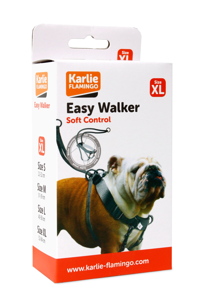 Easy Walker