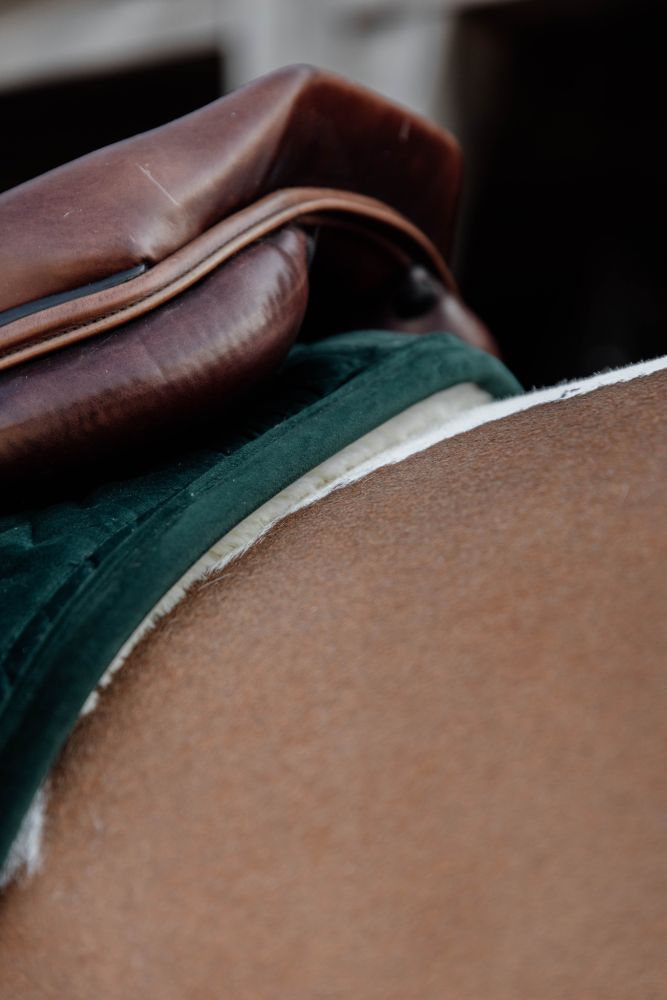 KENTUCKY® HORSEWEAR Skin Friendly Schabracke Velvet Springen, tannengrün