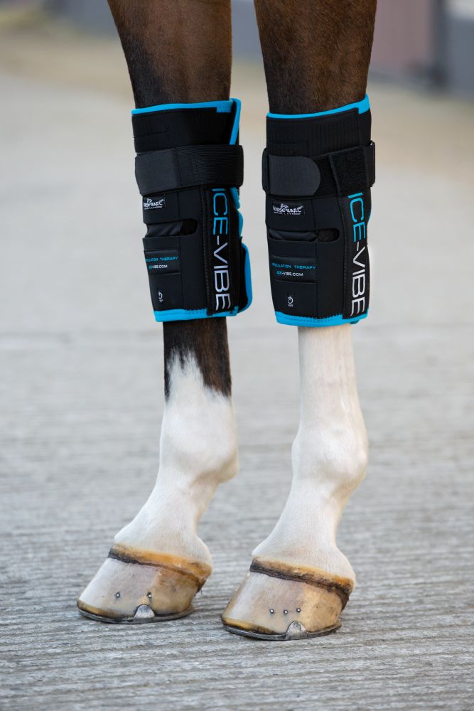 HORSEWARE® Ice-Vibe® Knee Wrap (Karpalgelenk)