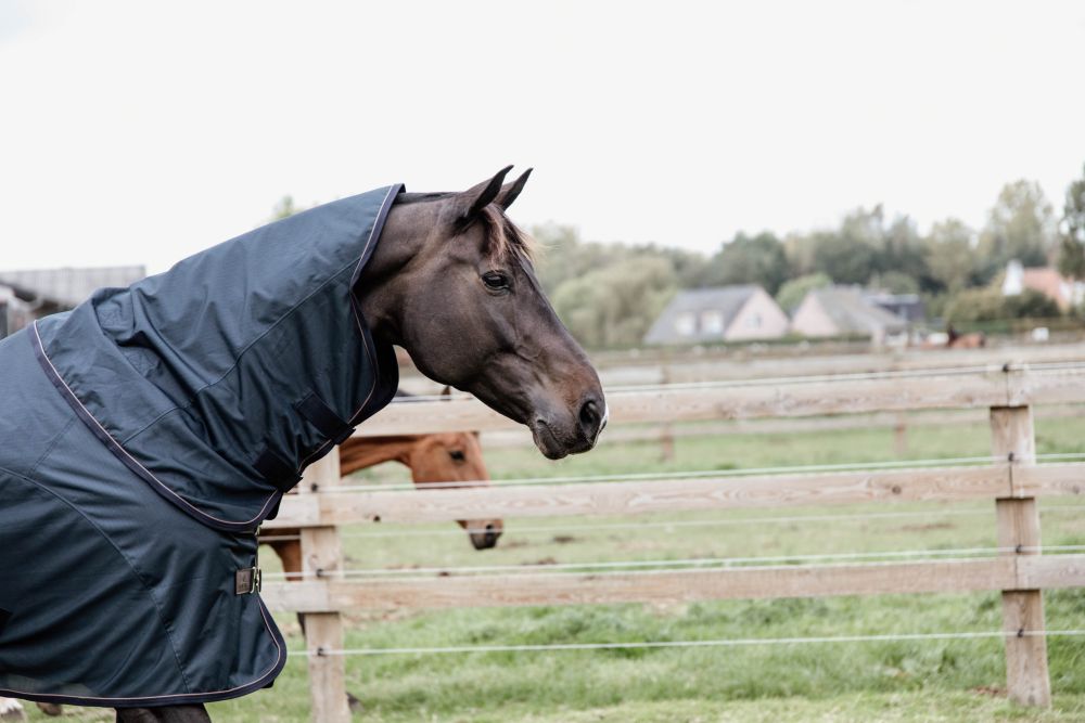 KENTUCKY® HORSEWEAR wasserdichte Combo Fliegendecke Classic