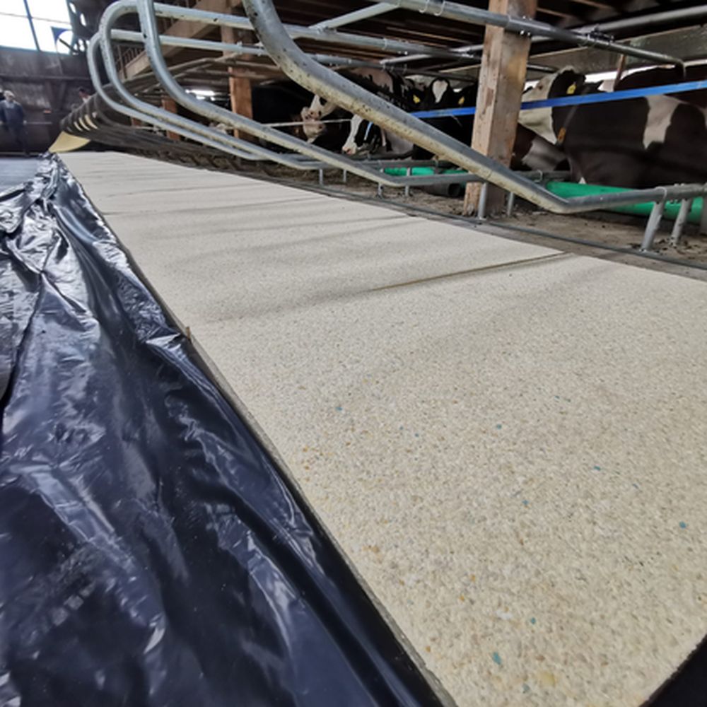 PATURA Kuhmatratze Latex Breite: 1,00 m; Tiefe: 1,70 m 
