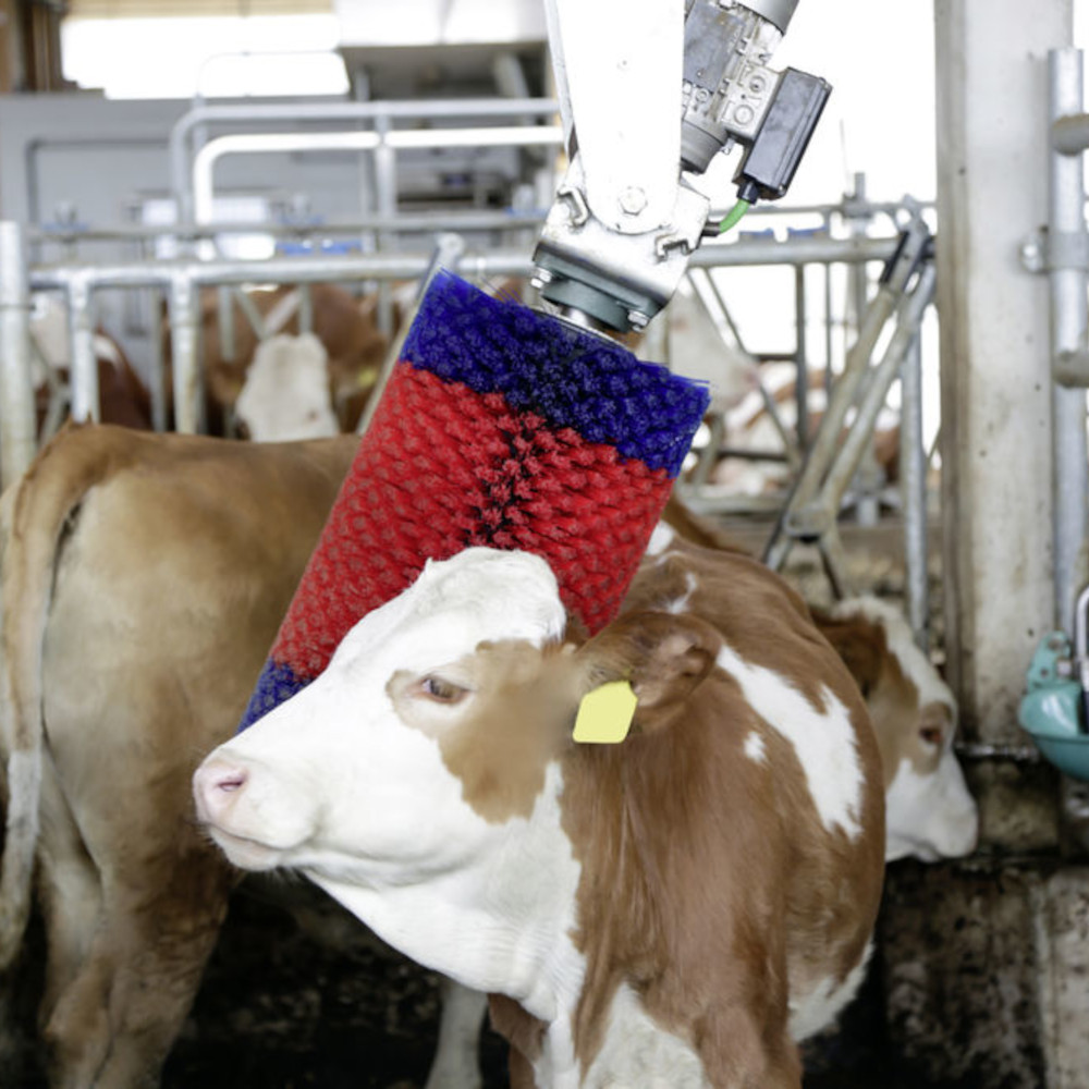 HAPPYCOW Kuhputzmaschine MiniSwing