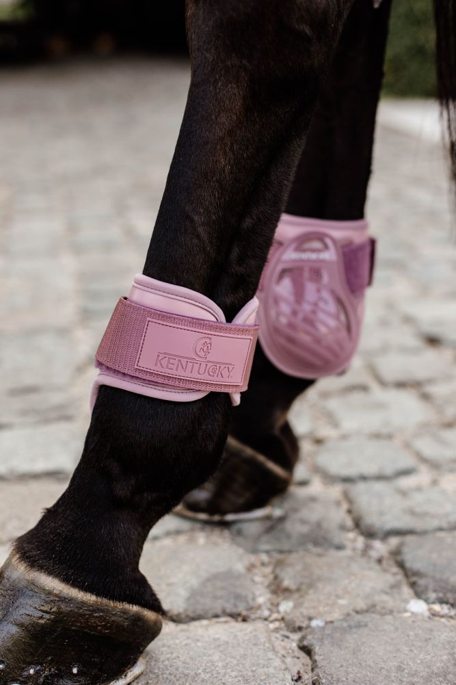 KENTUCKY® HORSEWEAR Streichkappe Young Horse, altrosa