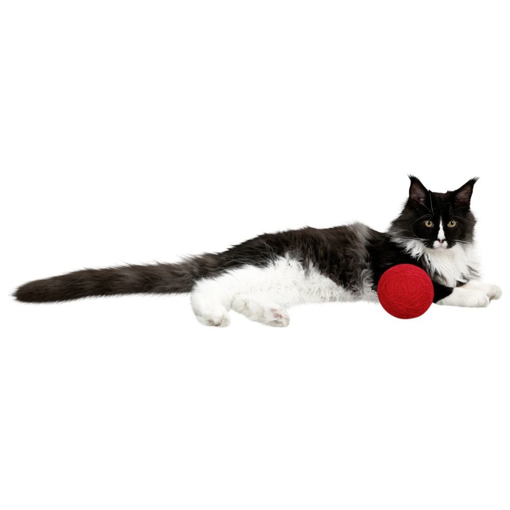 Wollspielball