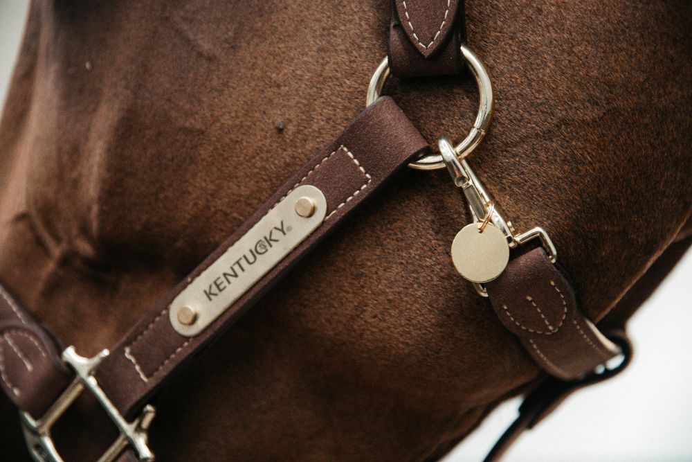 KENTUCKY® HORSEWEAR Namensschild rund, gold