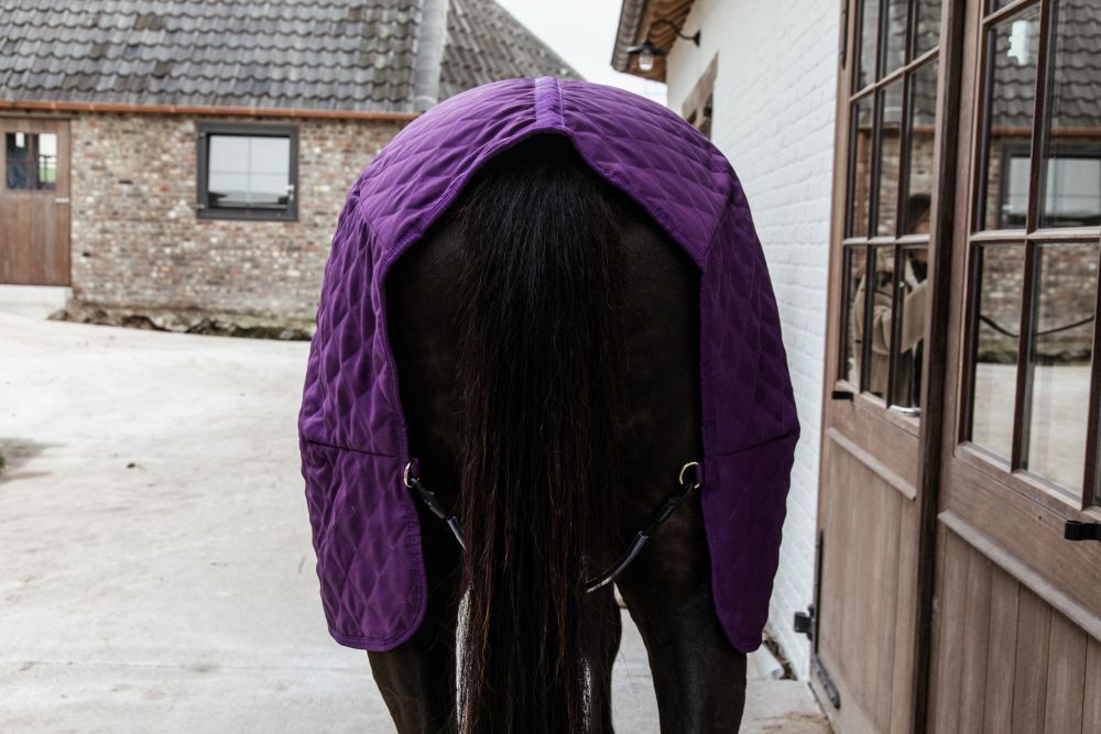 KENTUCKY® HORSEWEAR Turnierdecke, königliches-violett