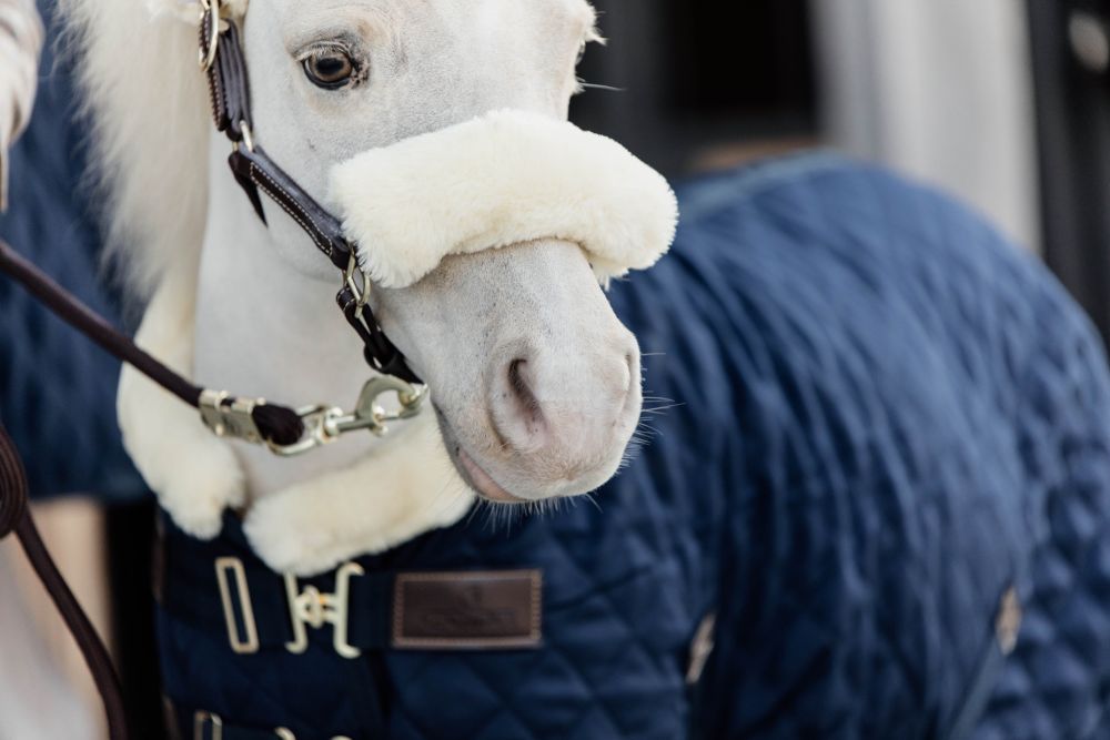 KENTUCKY® HORSEWEAR Pony-Lederhalfter mit Schaffell