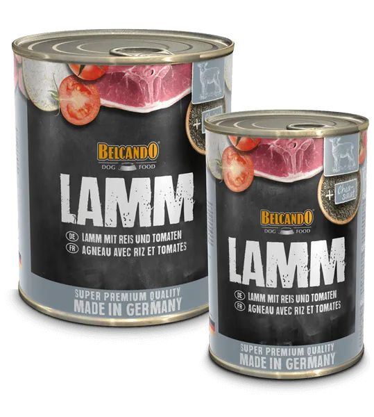 BELCANDO® Super Premium LAMM