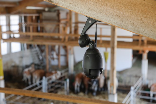 KERBL IPCam 360 FHD