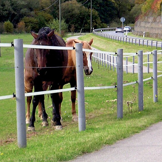 Graue runde Recycling-Pfähle mit Spitze als Weidezaun für Pferde, mit weißem Breitband auf einer grünen Wiese.
