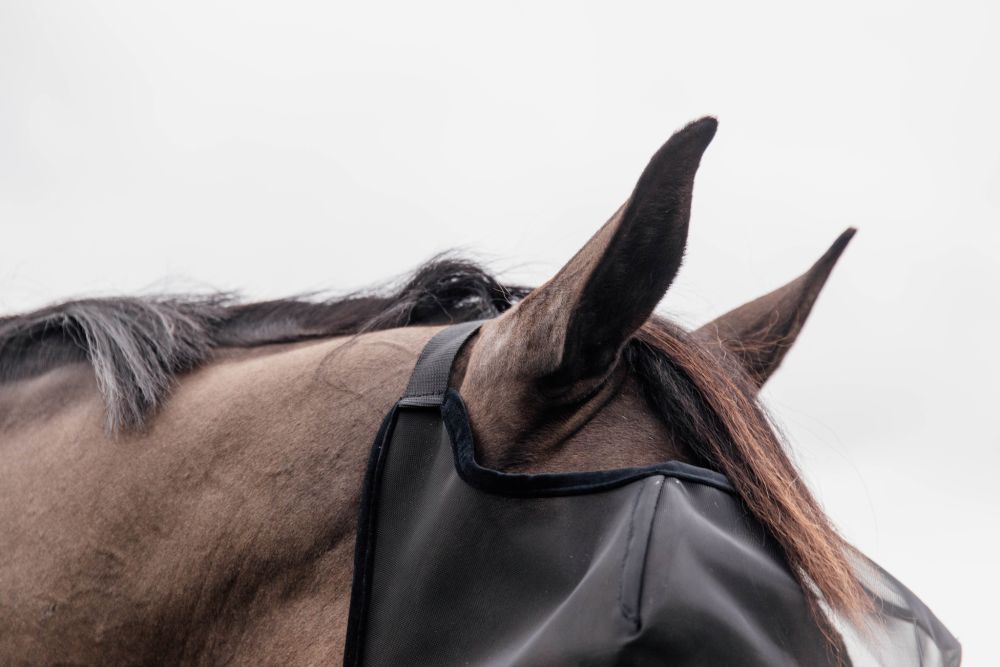 KENTUCKY® HORSEWEAR Fliegenmaske Classic ohne Ohren, schwarz