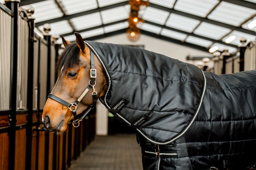 HORSEWARE® Easy-Layer Stable Hood, 100 g, black/black & silver