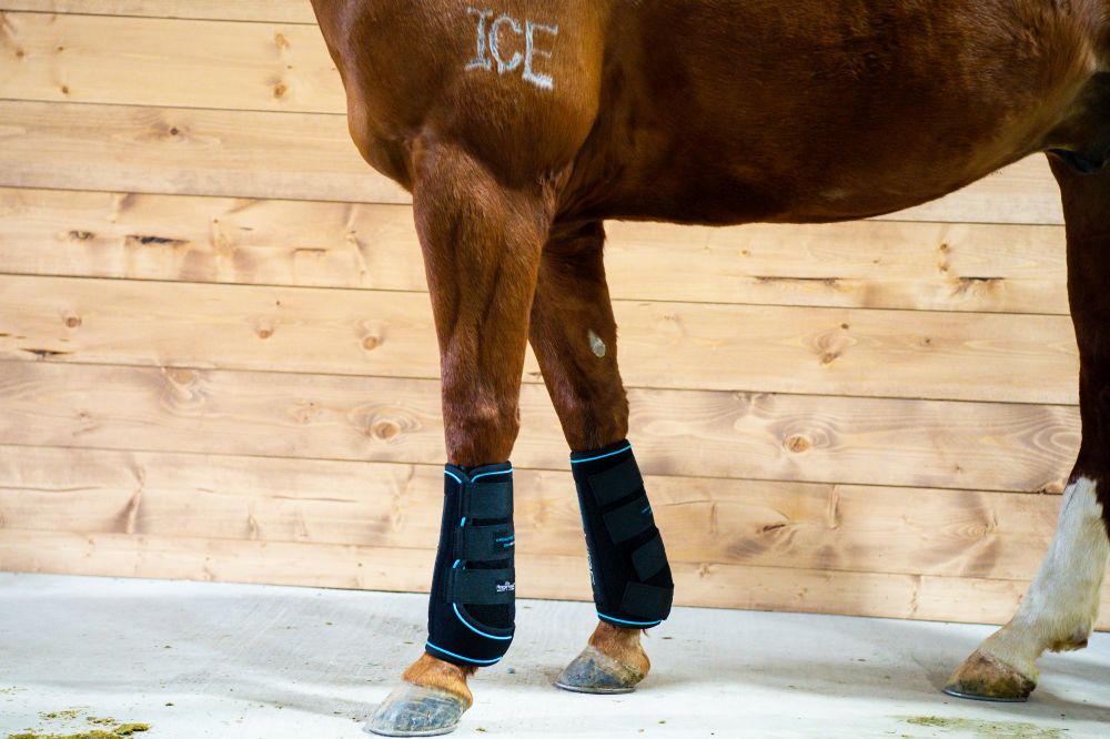 HORSEWARE® Ice-Vibe® Boots