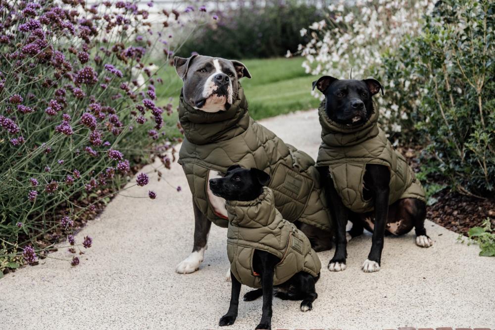 KENTUCKY® DOGWEAR Hundemantel Winter Pina, tannengrün
