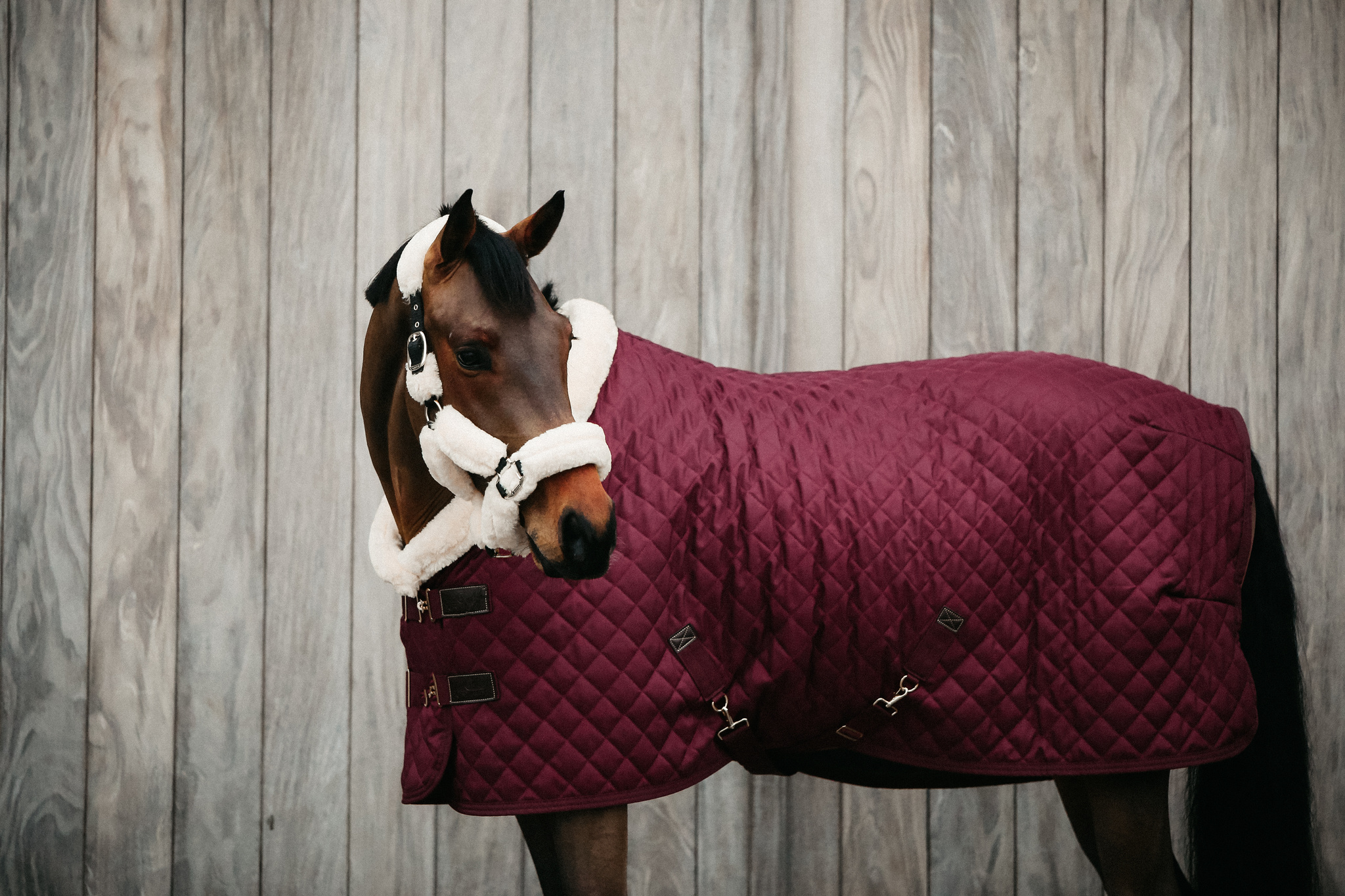 KENTUCKY® HORSEWEAR Turnierdecke, bordeaux
