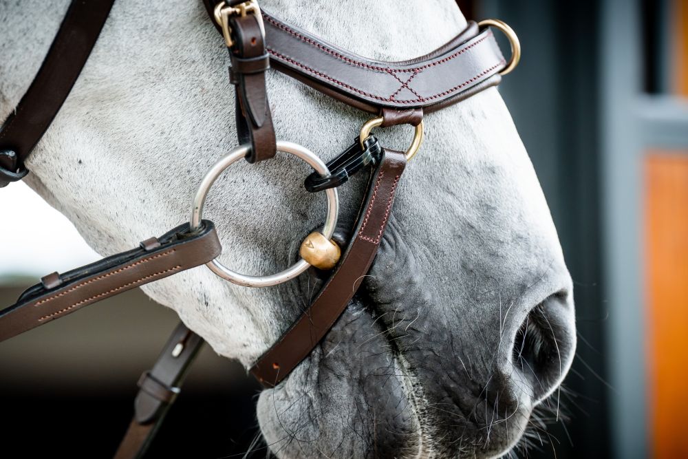 HORSEWARE® Micklem® 2 Multi Bridle, dark havana 
