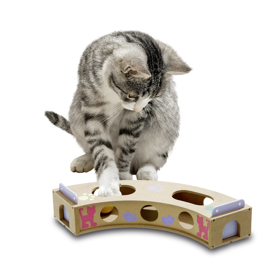 Smart Cat Curve