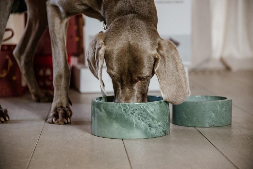 KENTUCKY® DOGWEAR Hundenapf aus Marmor, grün