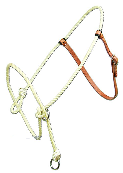WESTERN IMPORTS® Training Halter