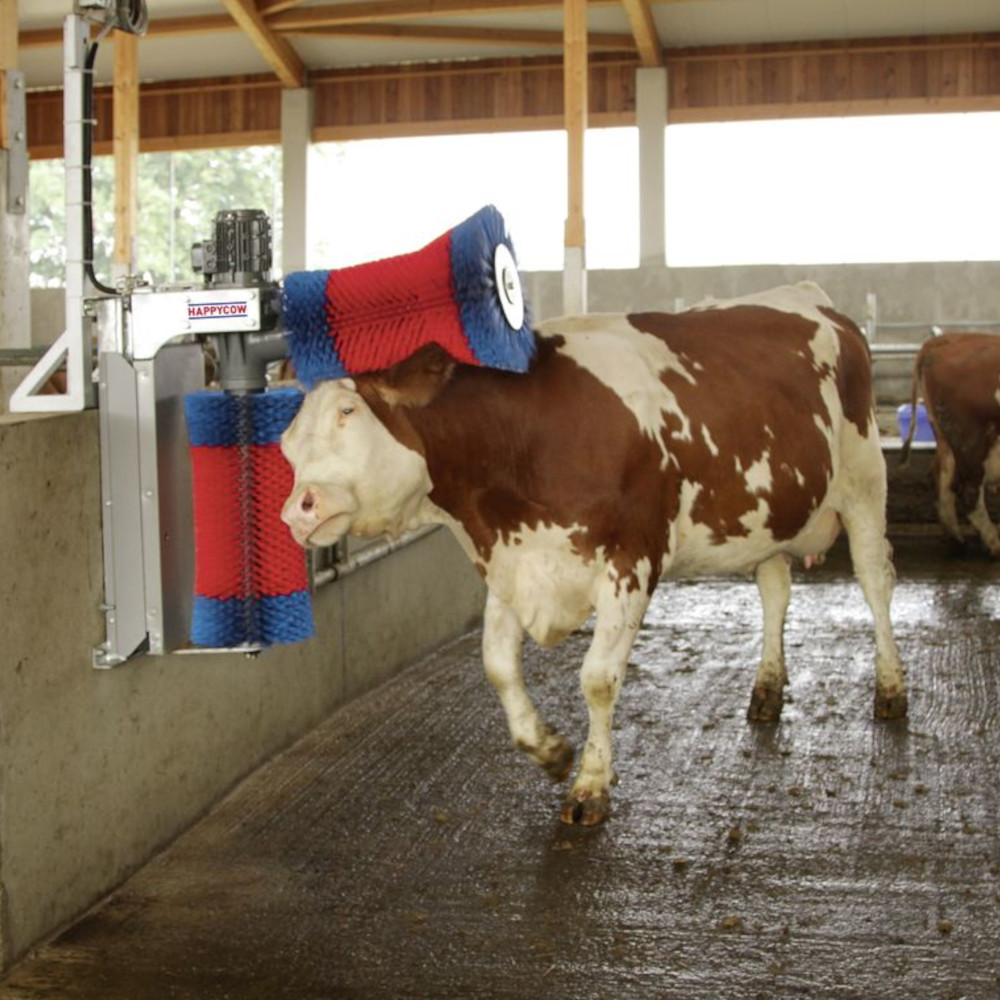 HAPPYCOW Kuhputzmaschine Duo