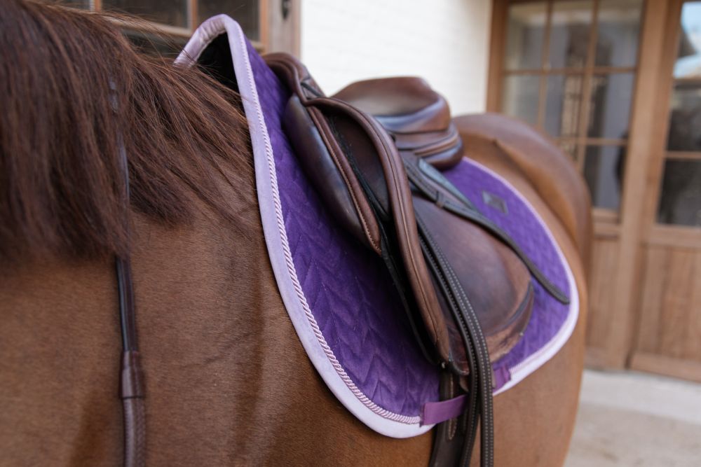 KENTUCKY® HORSEWEAR Schabracke Velvet Contrast Springen, königlich-violett