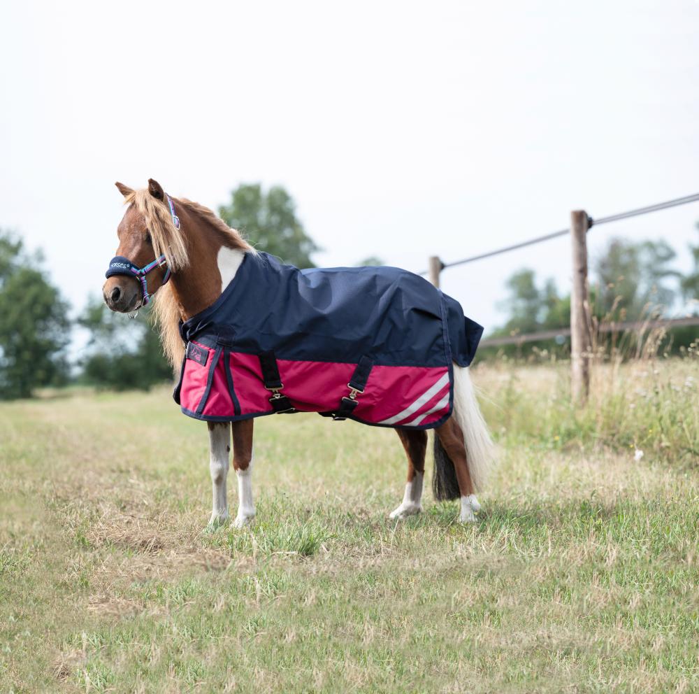 HKM Weidedecke Mini - 600D, cranberry Ein kleines Pony auf einer Weide trägt die HKM Weidecke Mini in Cranberry und Dunkelblau mit weißen Streifen.