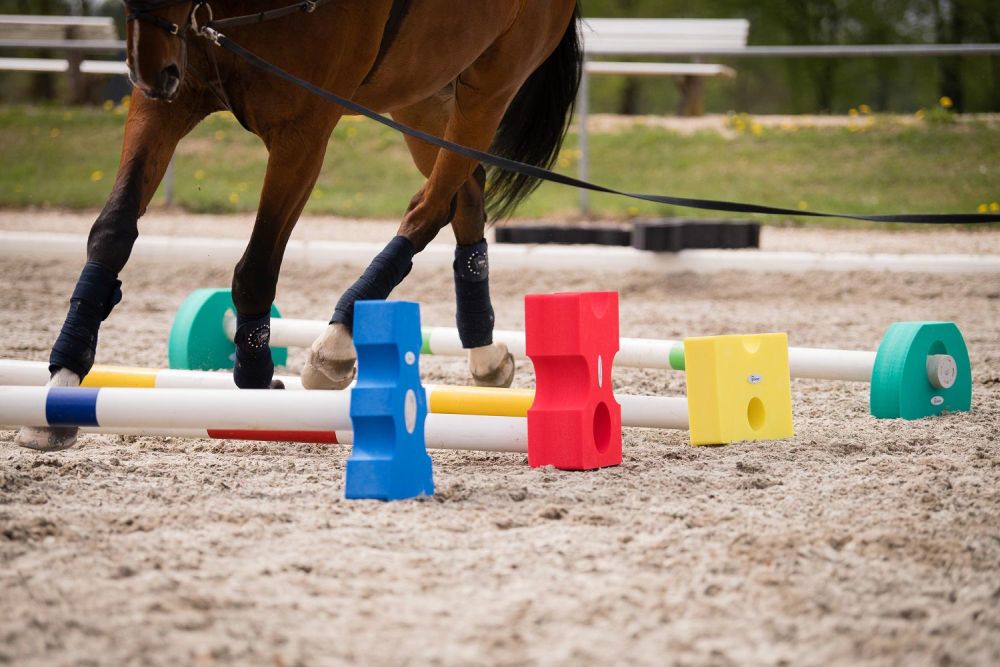 EQUIMORE Cavaletti SP Standard S 