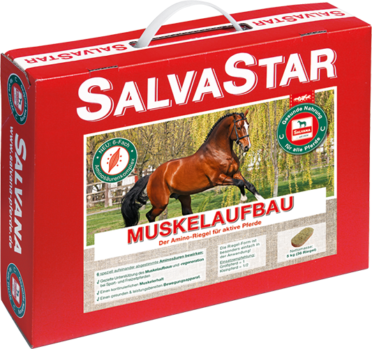 SALVANA SALVASTAR MUSKELAUFBAU
