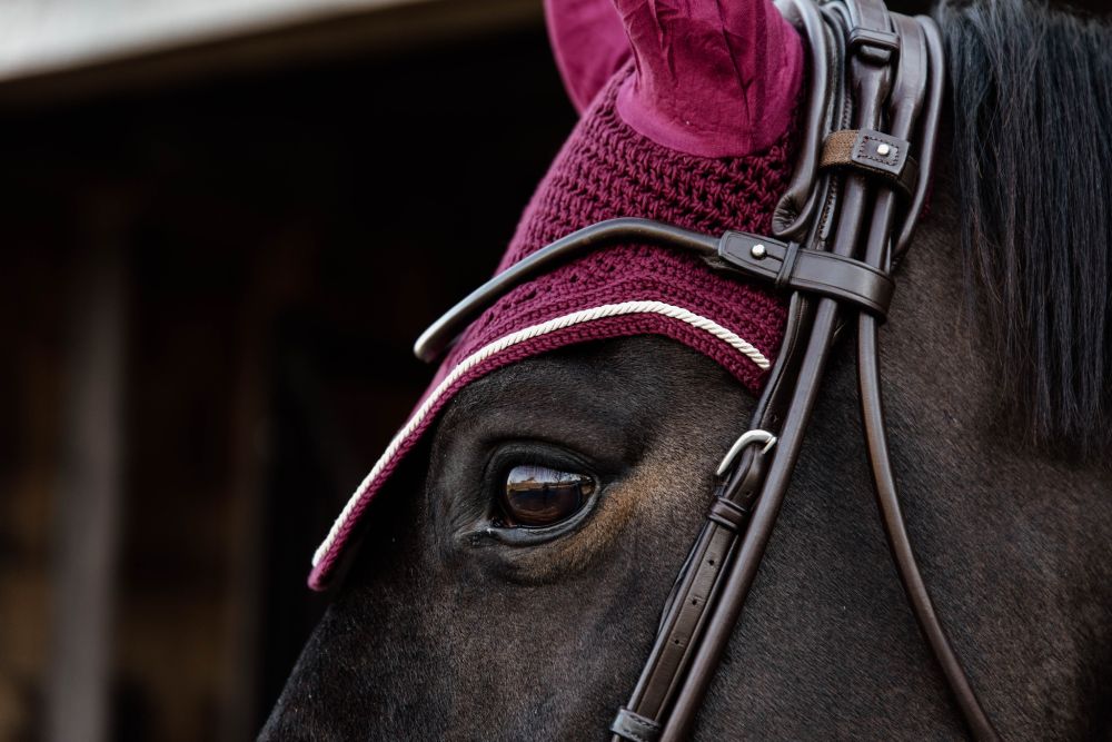 KENTUCKY® HORSEWEAR Fliegenhaube Wellington Velvet, bordeaux