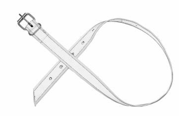 LISTER Tierhalsband MB 120 RS, weiß