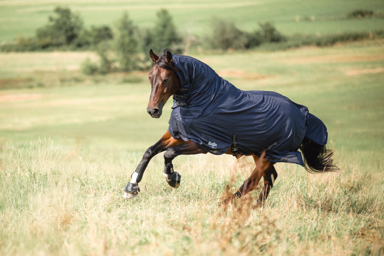 KERBL Fliegendecke RugBe SuperFly, navy