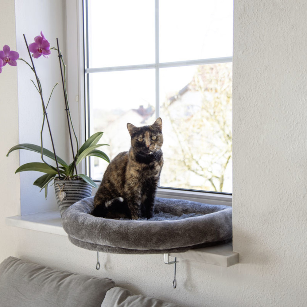Fensterliegebett