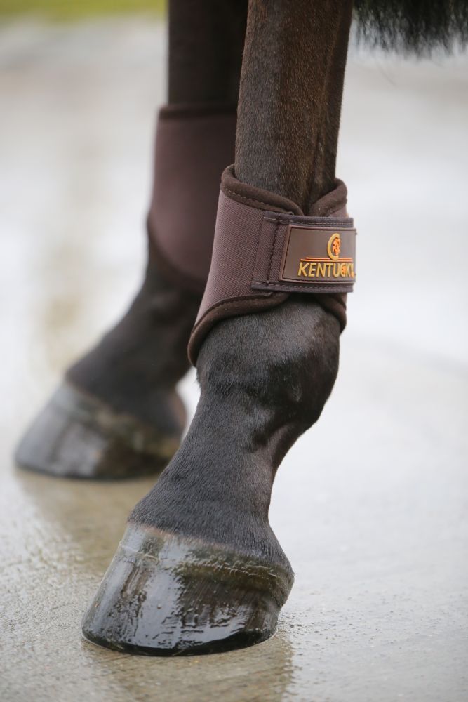 KENTUCKY® HORSEWEAR Arbeitsgamasche 3D Spacer hinten, braun