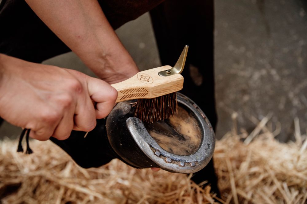 KENTUCKY® GROOMING DELUXE Hoof Pick