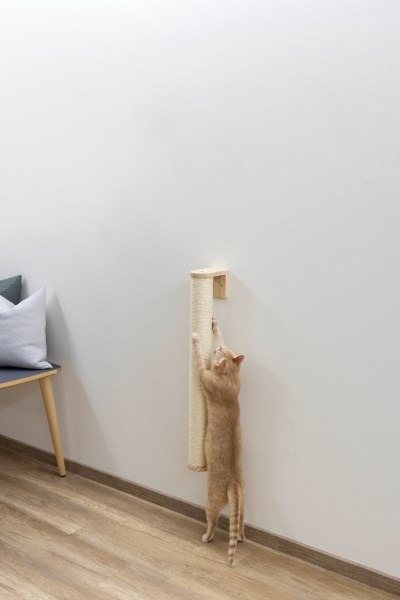 KERBL Wandkratzsäule 77cm Ø 8,5 cm