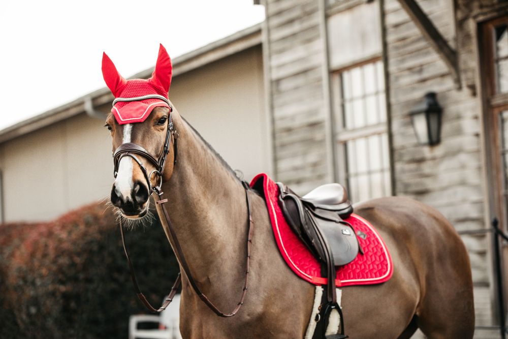 KENTUCKY® HORSEWEAR Fliegenhaube Wellington Velvet, rot