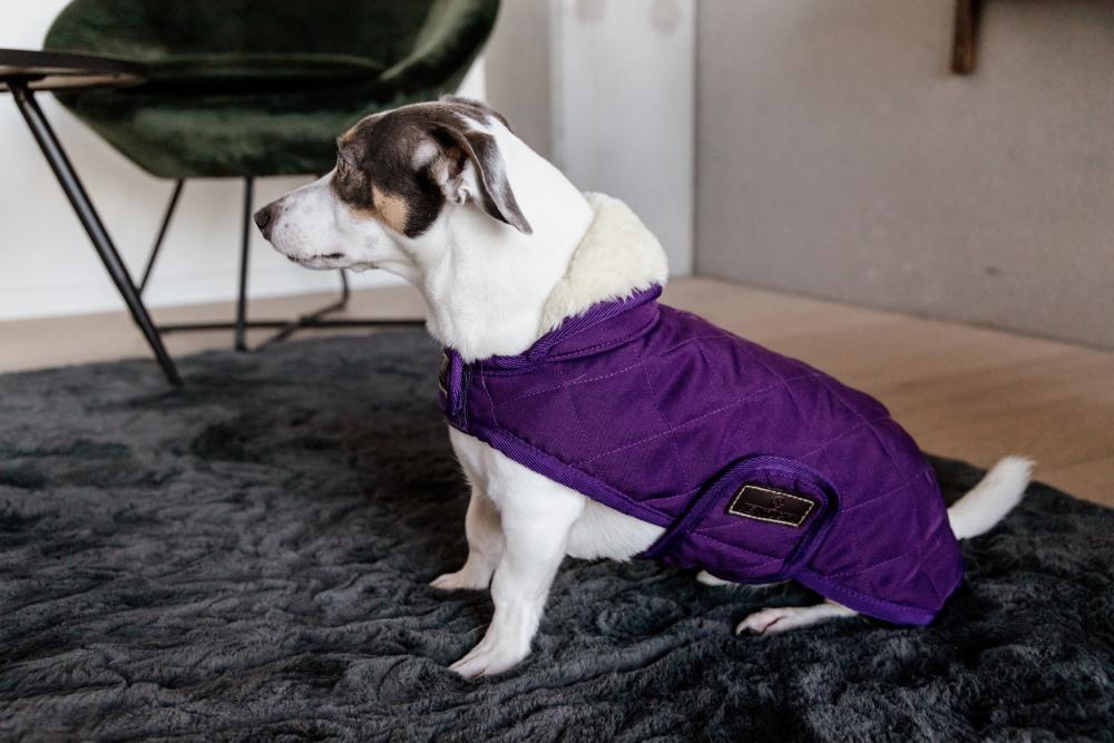 KENTUCKY® DOGWEAR Hundemantel Original 160 g, königliches-violett