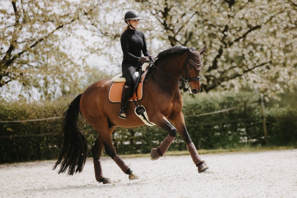 KENTUCKY® HORSEWEAR Schabracke Classic Leder Dressur, orange