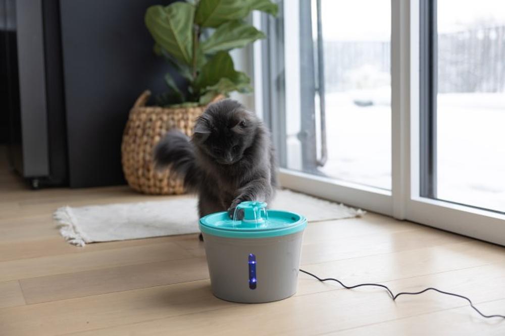 KERBL Trinkbrunnen für Katzen und kleine Hunde