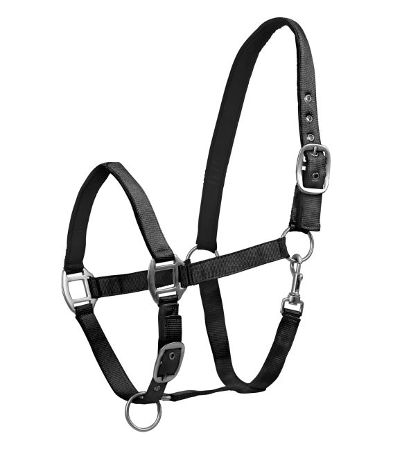 WALDHAUSEN Halfter Satin, schwarz