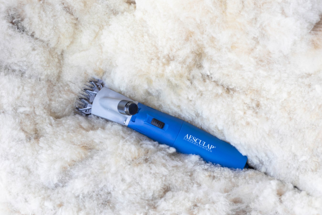 AESCULAP Econom NOVA Schafschermaschine in Blau und Grau liegt nach der Schur in einem Haufen weißer Schafwolle.