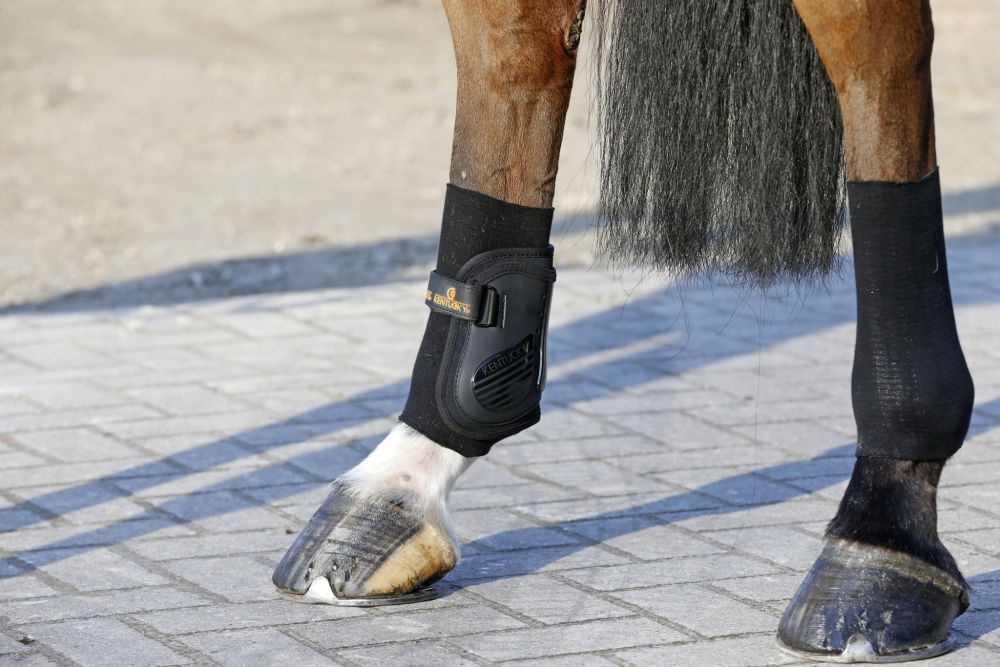 KENTUCKY® HORSEWEAR Tenton Grip Bandagenstrumpf Gel, 2er-Pack
